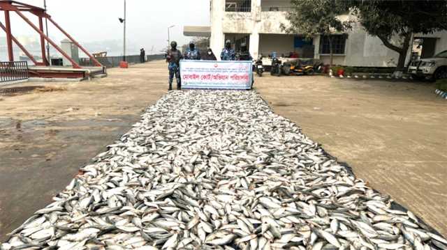 কাঁচপুরে কোস্টগার্ডের অভিযানে ৪৮৫০ কেজি জাটকা জব্দ