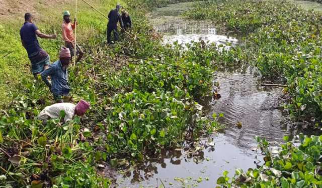 প্রাণ ফিরে পেলো গিমাডাঙ্গা-টুঙ্গিপাড়া খাল