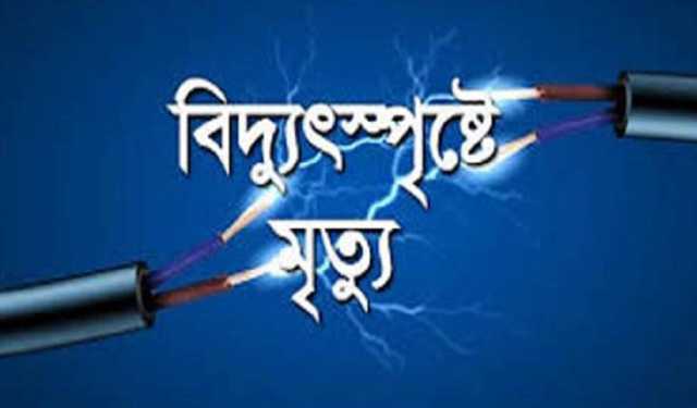 ঝালকাঠিতে পুকুর সেচ দিতে গিয়ে প্রাণ গেল ২ যুবকের