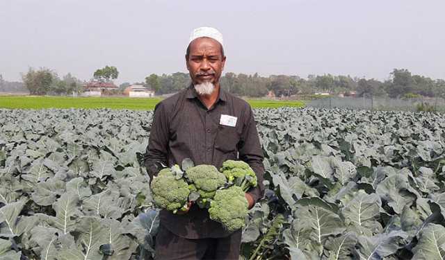 আইলে টমেটো ক্ষেতে ব্রোকলি, লাভবান ফারুক আহমেদ