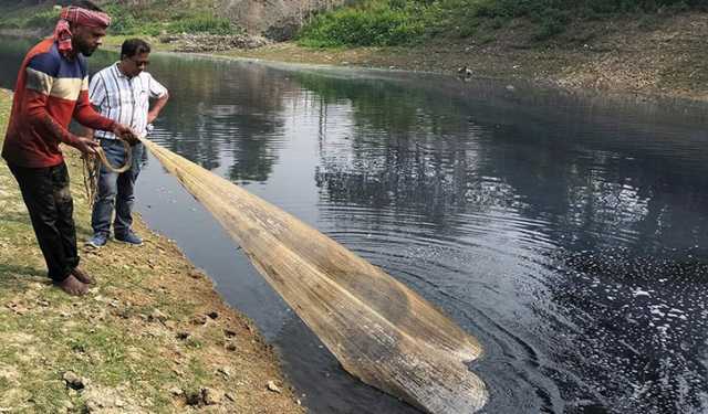 শিল্পের কঠিন বর্জ্যে হারিয়ে গেছে সুতাং নদীর জলজ প্রাণি 