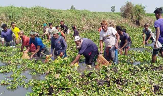 নড়াইলে ঐতিহ্যবাহী পলো উৎসব