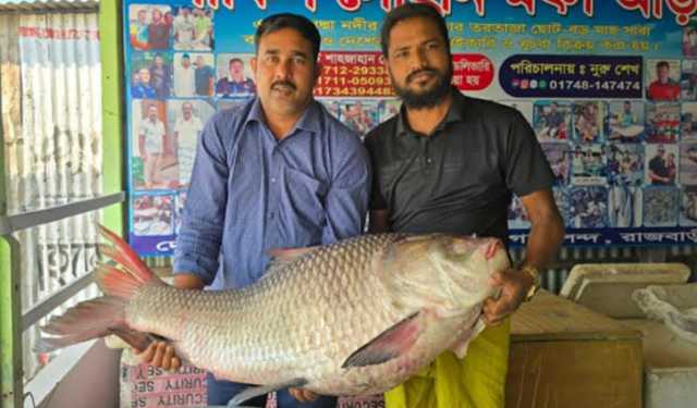 ২৮ কেজির কাতল ৭০ হাজার টাকায় বিক্রি