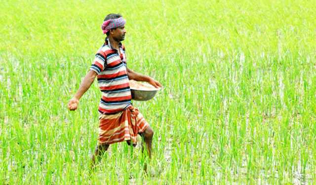 দাম বাড়েনি, সরকার নির্ধারিত মূল্যের বেশি দামে সার না কেনার অনুরোধ