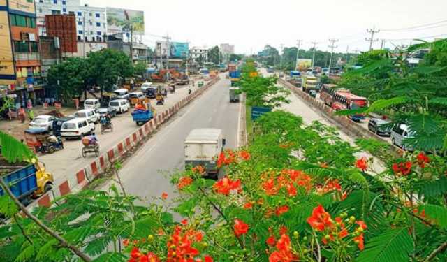 সোনারগাঁয়ে সড়কে পিষে যাওয়া মরদেহ