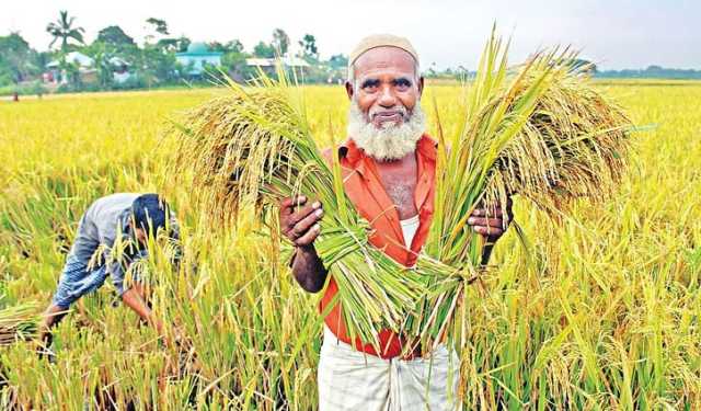 সাত মাসে লক্ষ্যমাত্রার অর্ধেকের বেশি কৃষি ঋণ বিতরণ