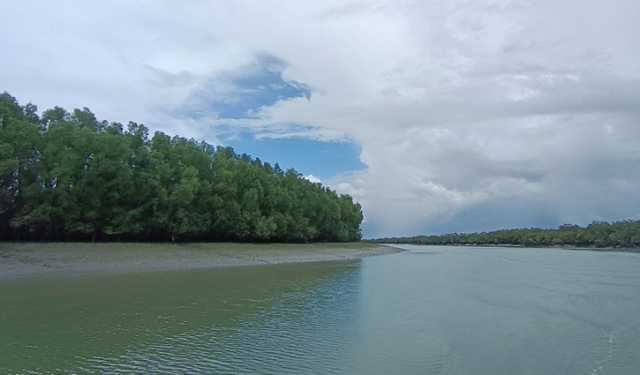 সুন্দরবনের নতুন এলাকায় ধোঁয়ার কুণ্ডলী