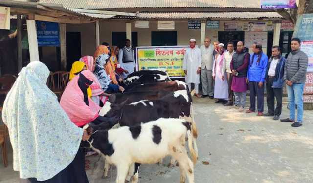 বাছুর বিতরণের ফটোসেশন, প্রকল্পের অর্থ আত্মসাতের অপচেষ্টার অভিযোগ