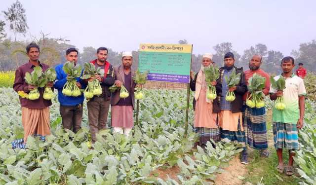 পতিত জমিতে ওলকপি চাষে সফল কৃষক আউয়াল