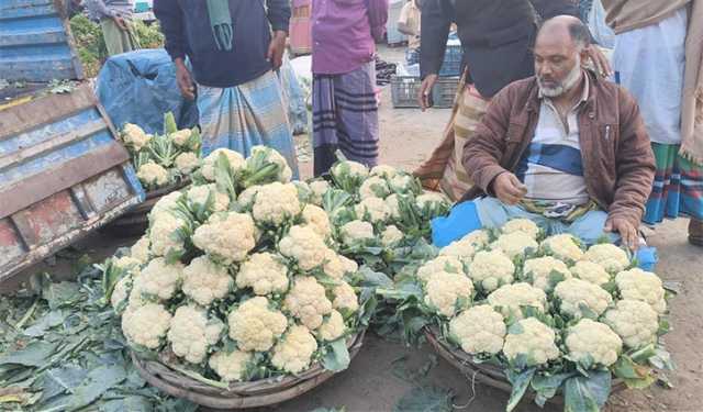 কেরানীগঞ্জে সবজির দাম না পেয়ে হতাশ কৃষক