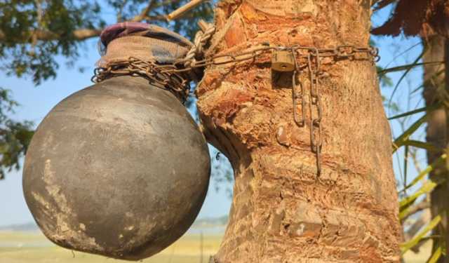 চুরি ঠেকাতে রসের হাঁড়িতে তালা