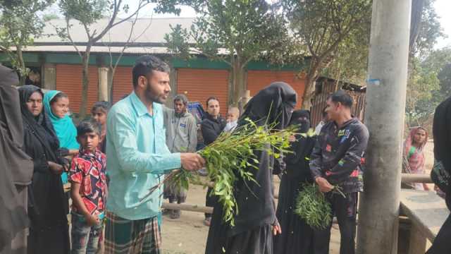 আইসক্রিম বিক্রেতা থেকে ‘কমলা কবিরাজ’ জুনাইদ