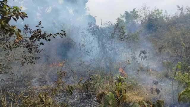 কুবির পাহাড়ে অগ্নিকাণ্ড