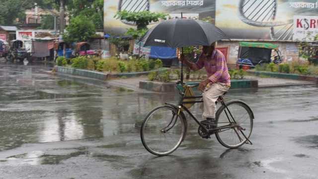 রাজশাহীতে ভোর থেকে গুড়ি গুড়ি বৃষ্টি, স্বস্তিতে আমচাষি