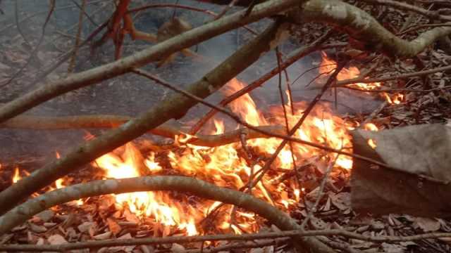 সুন্দরবনের গহীন বনে আগুন, পানি সংকট