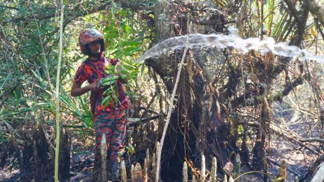 ৪৮ ঘণ্টা পর সুন্দরবনের আগুন সম্পূর্ণ নিয়ন্ত্রণে, চলছে সর্বশেষ তল্লাশি