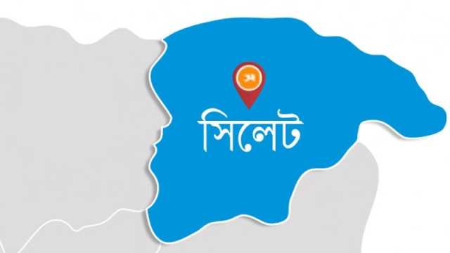 সীমান্তে বিজিবির ওপর হামলা করে গরু ছিনতাই