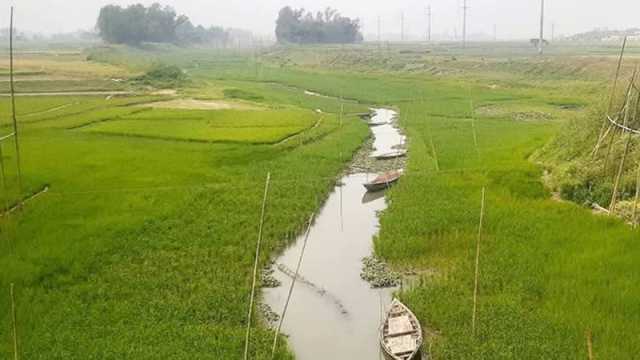 দখলে সংকুচিত সূতিখালী নদীতে ধানের আবাদ