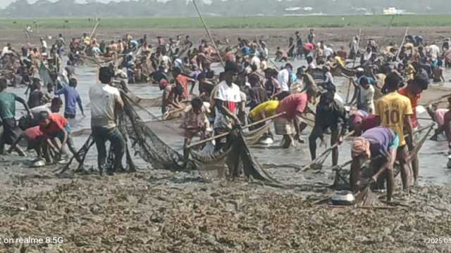 দিরাই-শাল্লায় এগারো বিলে ১০ কোটি টাকার মাছ লুট