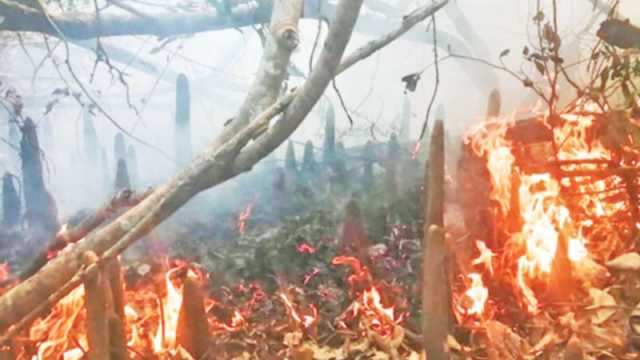 সুন্দরবনে আবারও আগুন, কাছে নেই পানির উৎস