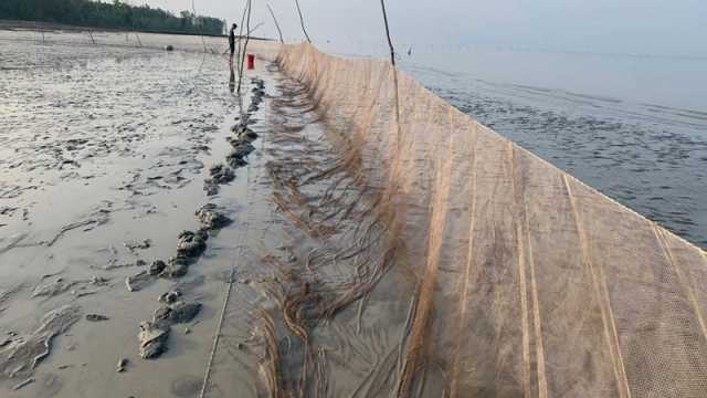 সংরক্ষিত বন ও নদীঘেঁষে অবৈধ জালে মাছ নিধন