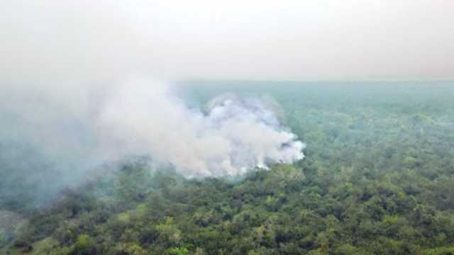 দুই যুগে ২৭ বার আগুন সুন্দরবন পূর্ব বিভাগে