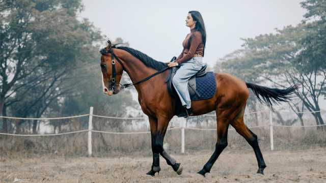 হঠাৎ কেন ঘোড়ার পিঠে ঘুরে বেড়াচ্ছেন এ মডেল 