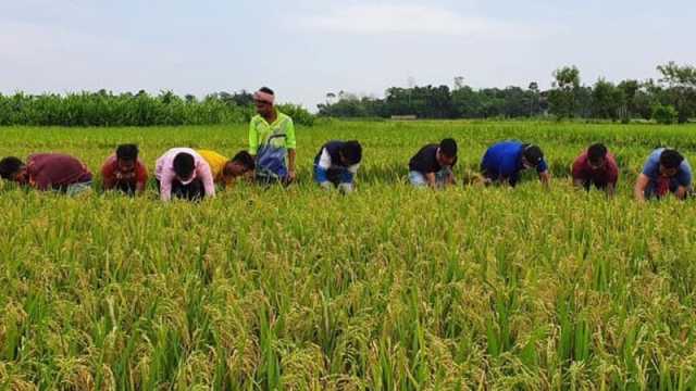 কৃষি সামগ্রীর দাম কমিয়ে কৃষক বাঁচান