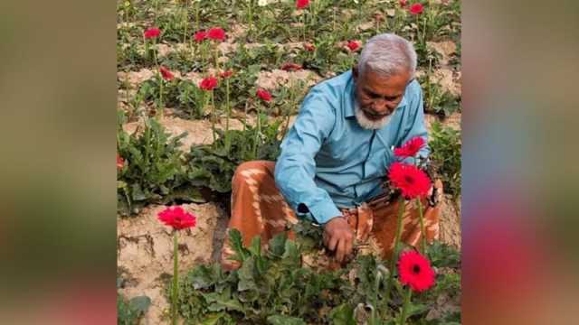 দেশে বাণিজ্যিক ফুল চাষের জনক শের আলী মারা গেছেন