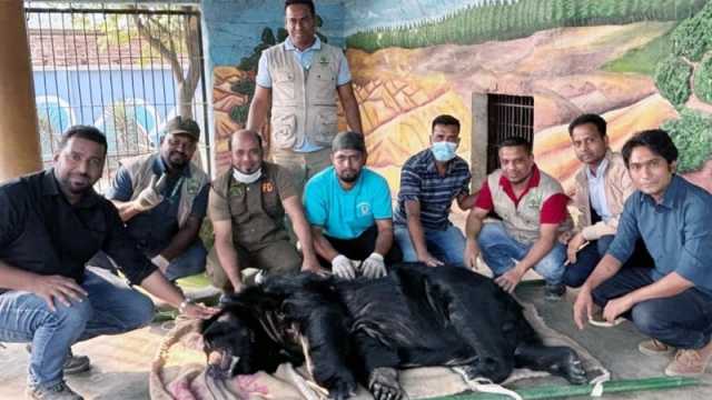 ৪৮ বন্যপ্রাণী উদ্ধার মিনি চিড়িয়াখানা বন্ধ ঘোষণা