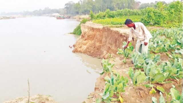 ‘আমার সোনার থালার মতো জমি কাটছে ওরা’