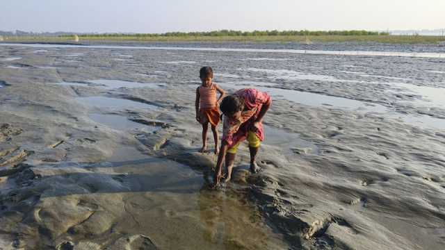 পায়রার বুকে শত শত ডুবোচরে ভোগান্তি