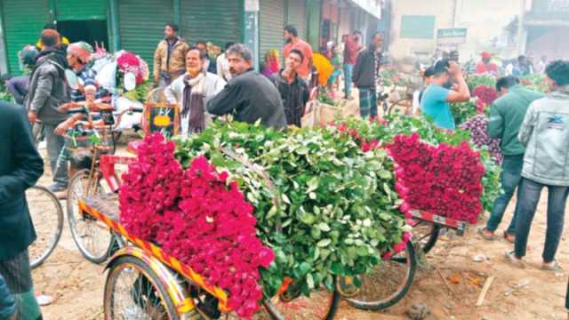 শেষ মুহূর্তেও গদখালীতে বাড়ল না ফুলের দাম