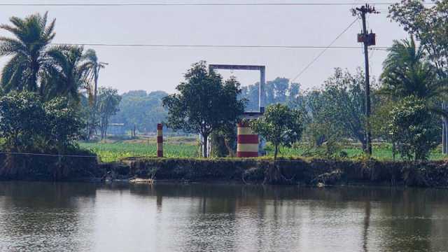 কৃষি ভর্তুকির পানিতে মাছ চাষ