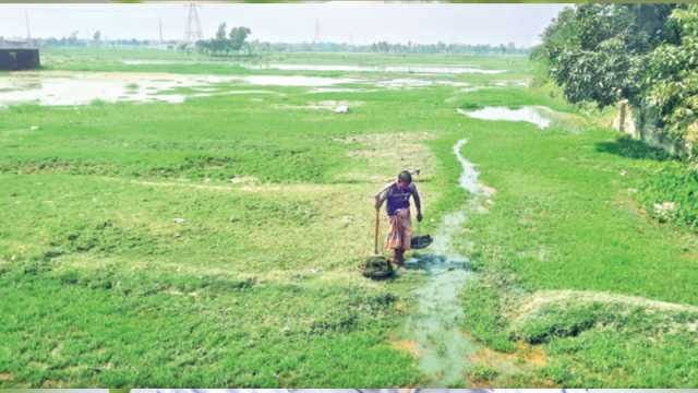 কৃষিজমিতে বিসিকের শিল্পবর্জ্য