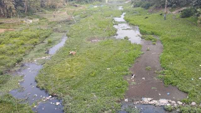 দখলে-দূষণে অস্তিত্ব সংকটে বড়াল