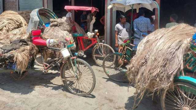 দাম না পেলে চাষে আগ্রহ হারাবে কৃষক