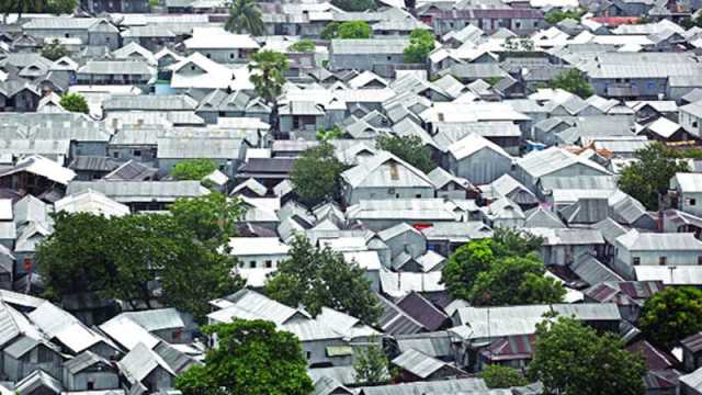 ‘কাঁঠাল পাতা’য় বুঁদ কড়াইল বস্তি