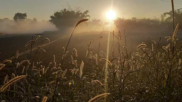 পঞ্চগড়ে চারদিন ধরে মৃদু শৈত্যপ্রবাহ