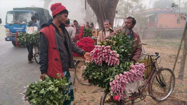 শেষ মুহূর্তেও গদখালীতে বাড়ল না ফুলের দাম