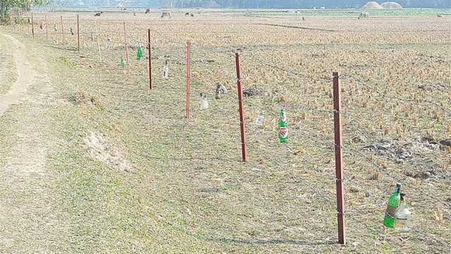 অপরাধমুক্ত সীমান্ত নিশ্চিত করতেই কাঁটাতারের বেড়া