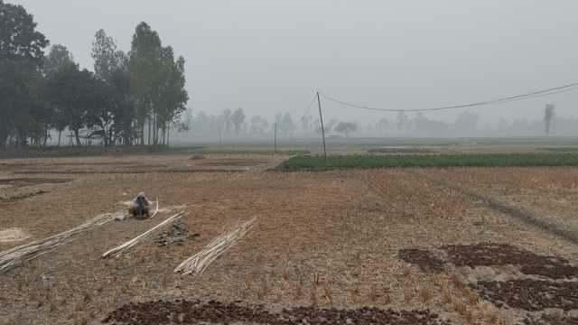 সূর্যের দেখা নেই দুদিন, শীতে জবুথবু গাইবান্ধার জনজীবন