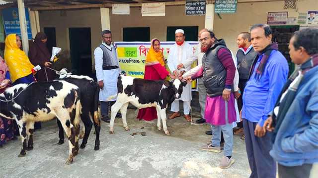 বাছুর বিতরণের ফটোসেশন করে হাতে খিচুড়ি ধরিয়ে দিলো এনজিও