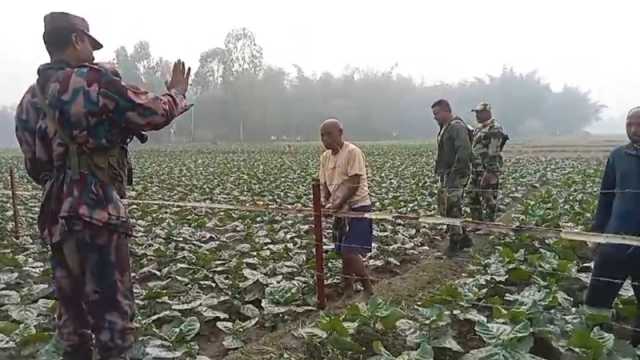 সেই কাঁটাতারের বেড়ায় এবার বাঁশ বাঁধল ভারতীয়রা, ভিডিও ভাইরাল