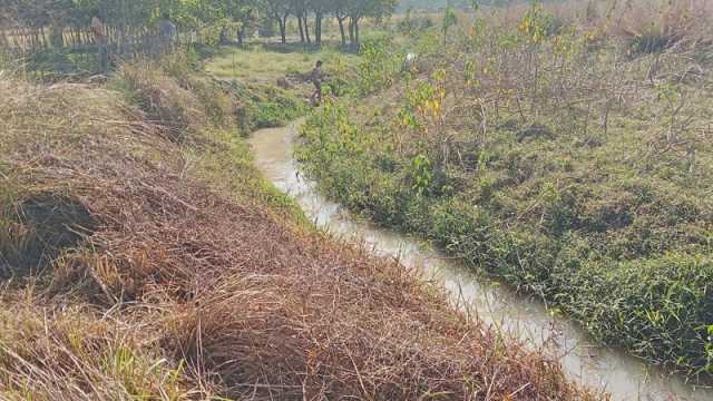 খননেও সরু, আসে না অতিথি পাখি