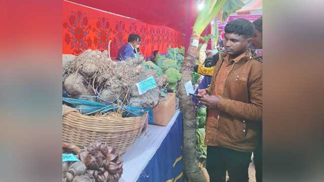 নজর কাড়ছে ৭৩ কেজির মেটে আলু, ৬ ফুট কচু